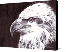 Canvas print of Eagle by the artist artbasik Michael Rados