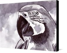 Canvas print of Parrot by the artist artbasik Michael Rados