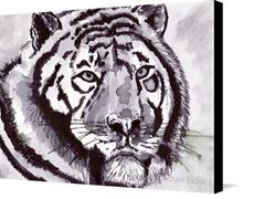 Canvas print of Wild Tiger by the artist artbasik Michael Rados