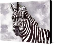 Canvas print of Zebra by the artist artbasik Michael Rados