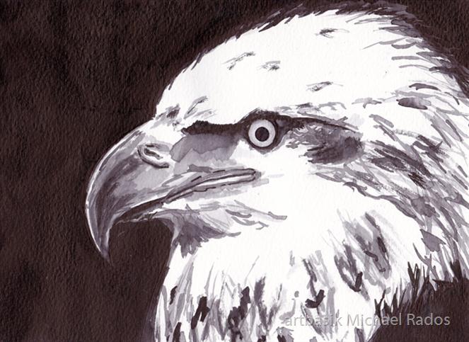 Eagle by artbasik Michael Rados