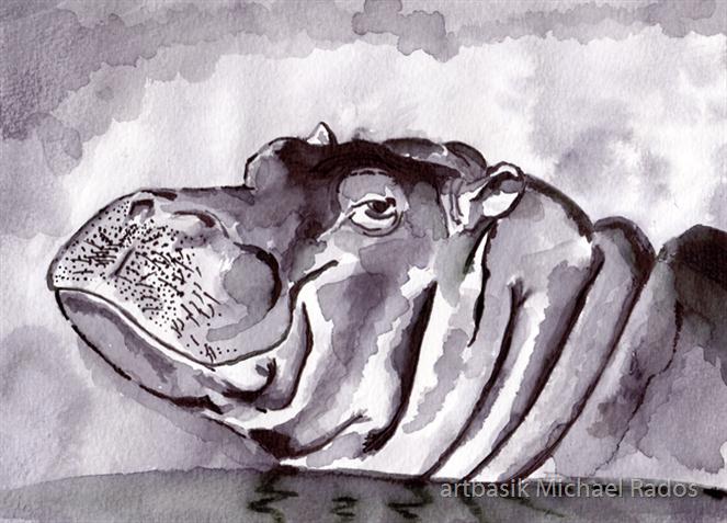 Hippo by artbasik Michael Rados