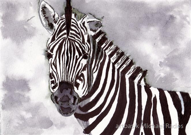 Zebra by artbasik Michael Rados