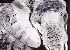 Poster print of Elephant by the artist artbasik Michael Rados