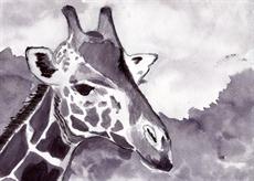 Poster print of Giraffe by the artist artbasik Michael Rados