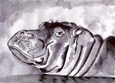 Poster print of Hippo by the artist artbasik Michael Rados