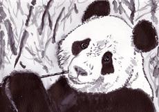 Poster print of Panda by the artist artbasik Michael Rados