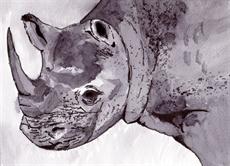 Poster print of Rhino by the artist artbasik Michael Rados