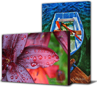 Museum Quality Fine Art and Canvas Prints