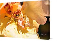 Canvas print of "Beauty Begins Anew" by the artist HUES OF COLOR by Brenda Kay