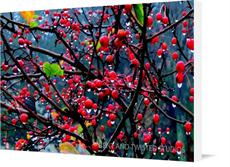 Canvas print of COUNT THE DROPS by the artist BENT AND TWISTED STUDIOS