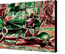 Canvas print of GORILLA GREEN Ldt Ed of 10 by the artist BENT AND TWISTED STUDIOS