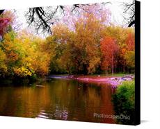 Canvas print of Rainbow fall Colors by the artist PhotoscapesOhio