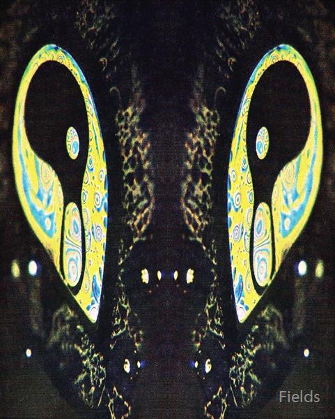 -brane by Fields
