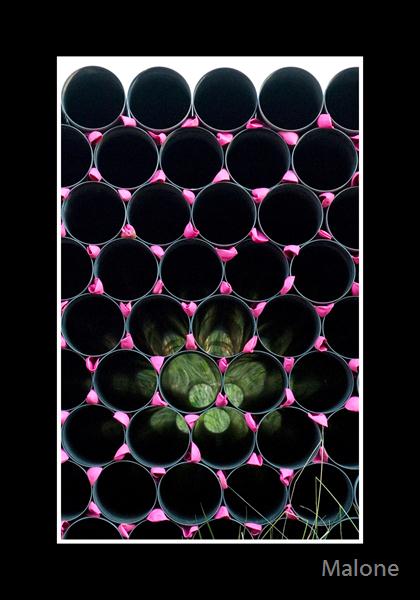 Pipe-Dreams-II by Malone