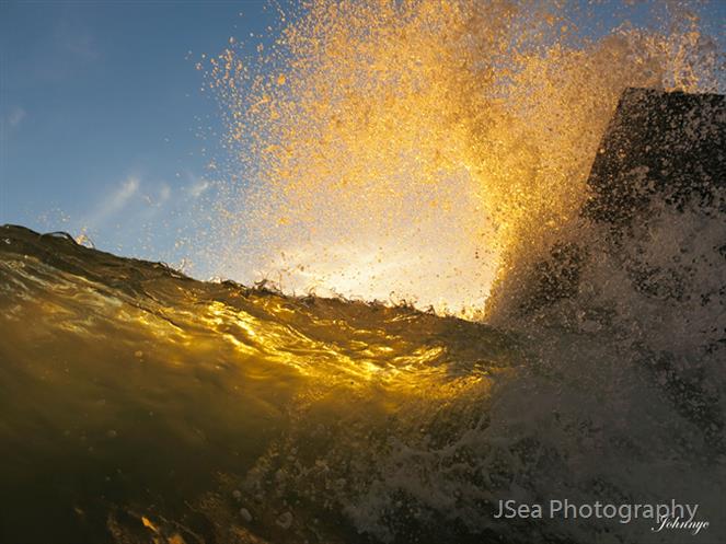 Yellow-Burst by JSea Photography