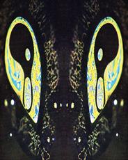 Poster print of 'brane by the artist Fields