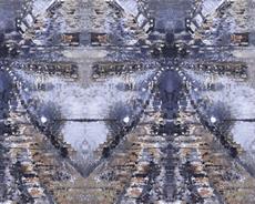 Poster print of Alien Selfies by the artist Fields