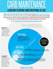 Poster print of Carb Maintenance by the artist FitnessInfographics