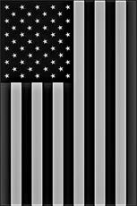 Poster print of Independence Day by the artist Fields