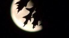 Poster print of Midnight Moon by the artist MessyMark