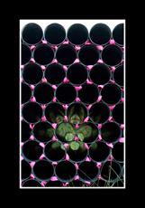 Poster print of Pipe Dreams II by the artist Malone