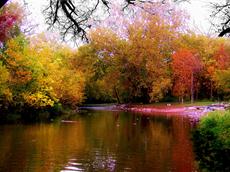 Poster print of Rainbow fall Colors by the artist PhotoscapesOhio