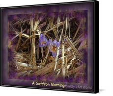 Canvas print of A Saffron Morning by the artist Grittynitty's Art World
