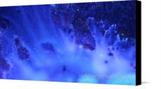 Canvas print of Blue Nebula 3 by the artist HighEnergyPhotography