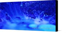 Canvas print of Blue Nebula 4 by the artist HighEnergyPhotography