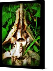 Canvas print of Bone Soldier by the artist Artimorean