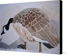 Canvas print of Canadian goose by the artist Itajo