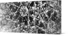 Canvas print of Flake of Distruction  by the artist SeptemberRose