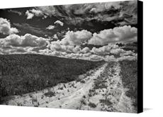 Canvas print of Little Dirt Road by the artist christianstepien