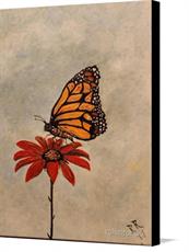 Canvas print of Majestic Butterfly by the artist rokinronda
