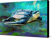 Canvas print of Sea Turtle by the artist JT Digital Art