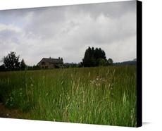 Canvas print of Spring Time Meadow by the artist carolinagal