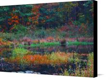 Canvas print of quiet thoughts by the artist SH Photo Art