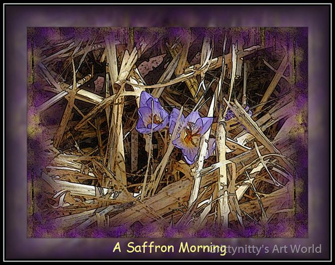 A-Saffron-Morning by Grittynitty's Art World