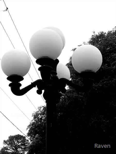 B-W-Lamp-Post by Raven