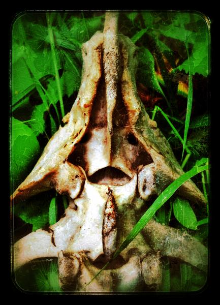Bone-Soldier by Artimorean