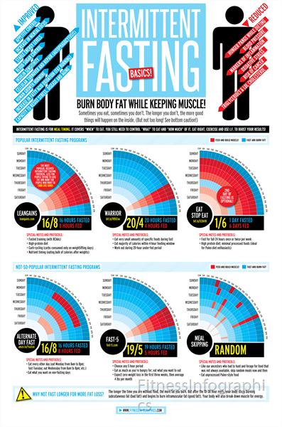 DIETS--Intermittent-Fasting-Basics by FitnessInfographics