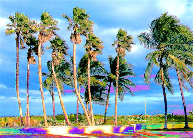 Miami-Palms by JT Digital Art