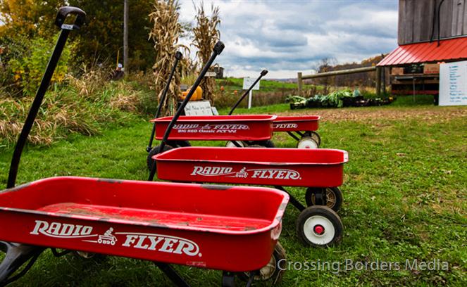Radio-Flyers-at-the-Farm by Crossing Borders Media
