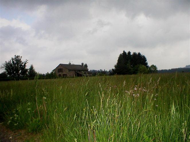 Spring-Time-Meadow by carolinagal