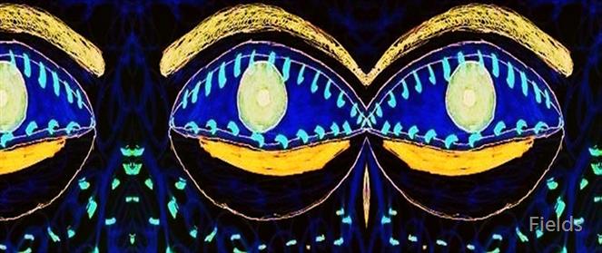 eYeYe by Fields