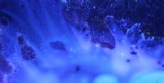 Poster print of Blue Nebula 3 by the artist HighEnergyPhotography