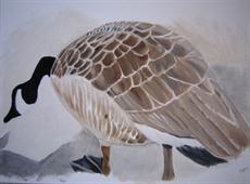 Poster print of Canadian goose by the artist Itajo