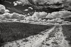 Poster print of Little Dirt Road by the artist christianstepien