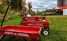 Poster print of Radio Flyers at the Farm by the artist Crossing Borders Media